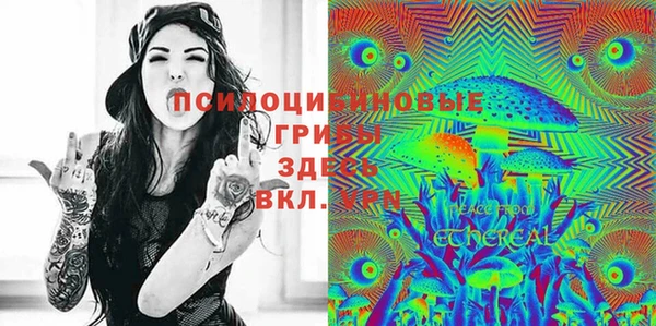 спайс Алзамай