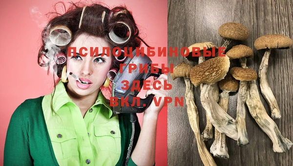 соль курить ск Алексеевка