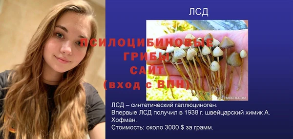 трава Мегион